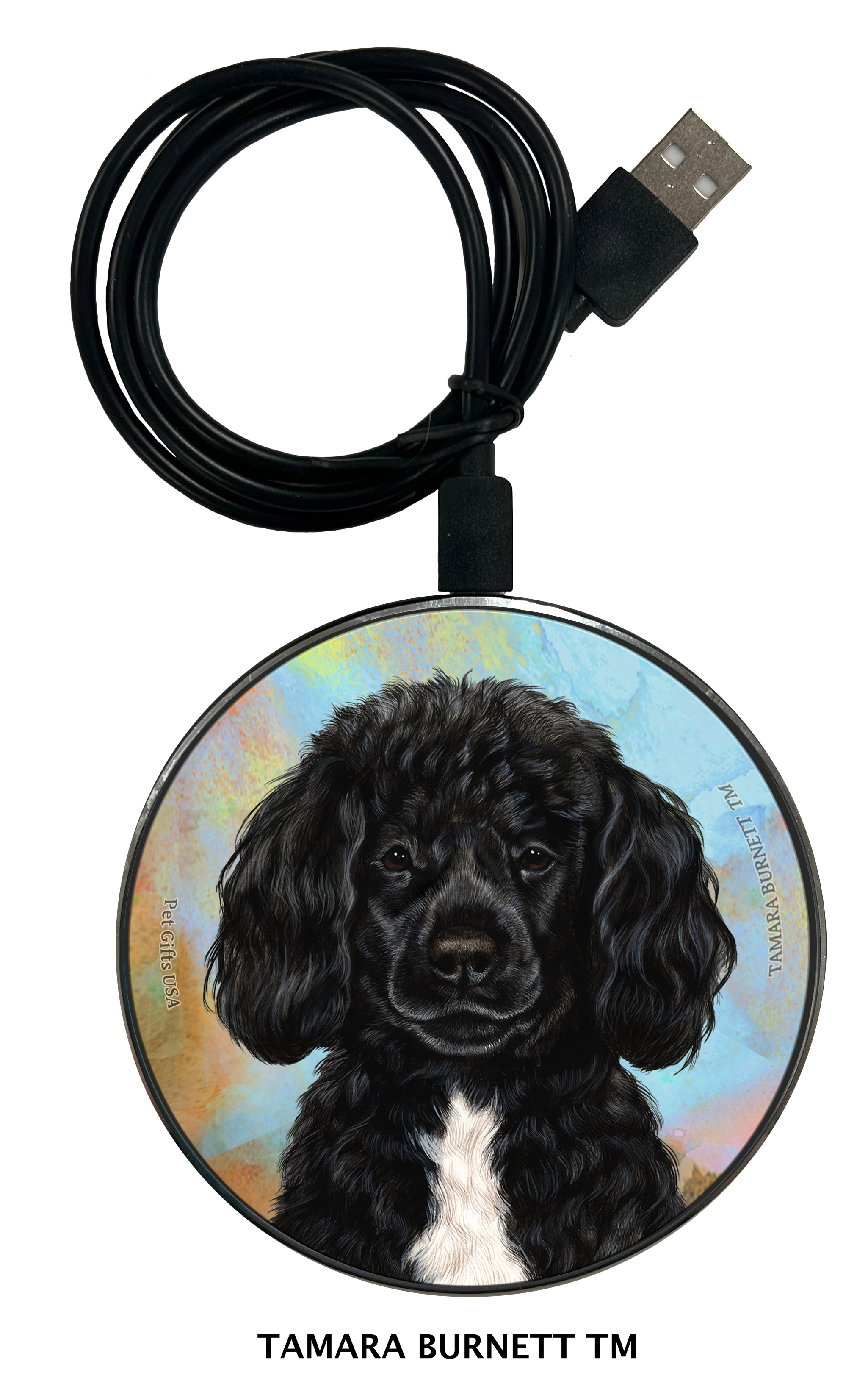 Portuguese Water Dog Black and White Beardless - Zoomies Phone Charger image